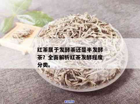 红茶：发酵还是不发酵？探讨其分类及特点