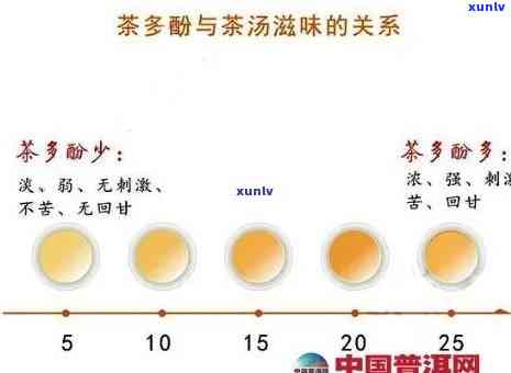 哪种茶类茶多酚更高-哪种茶类茶多酚更高呢