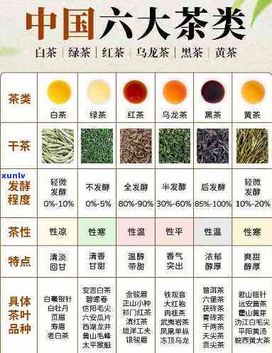 了解六大茶类知名品种及其特点