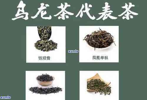 六大茶类的代表茶，品鉴中国茶文化：了解六大茶类的代表茶