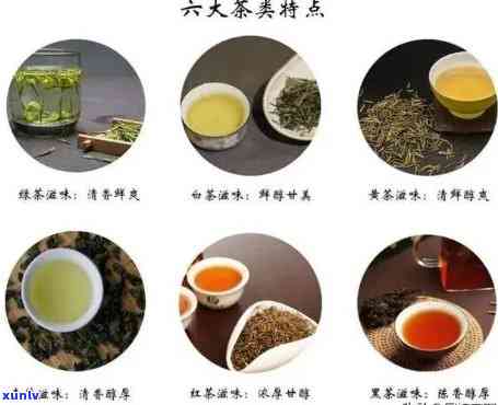 六大茶类的代表茶，品鉴中国茶文化：了解六大茶类的代表茶