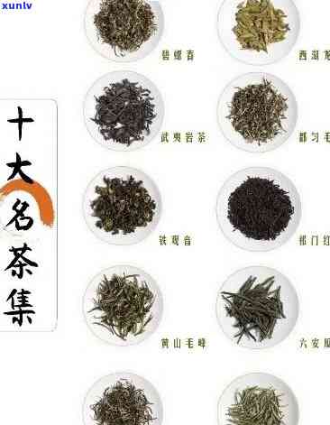 探秘六大茶类十大名茶：全面解析其品种与排名