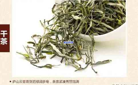 探秘六大茶类十大名茶：全面解析其品种与排名