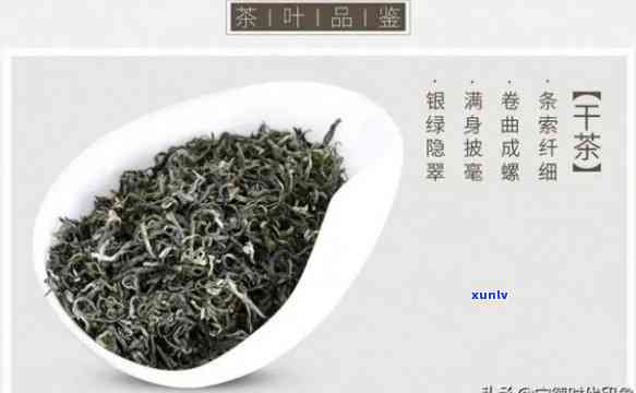 探秘六大茶类十大名茶：全面解析其品种与排名