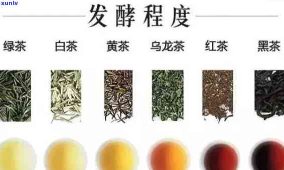 深入解析：茶类发酵程度及代表物质