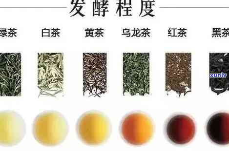 茶的发酵程度排序，从轻到重：茶叶发酵程度的详细排序