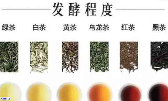 茶类发酵程度及代表-茶类发酵程度及代表物质