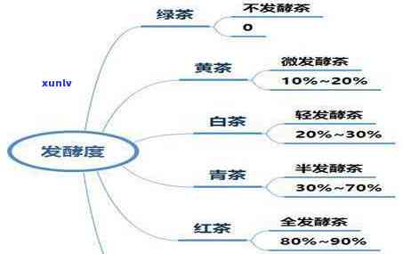 深入了解六大茶类的发酵度：从轻发酵到全发酵的详细解析