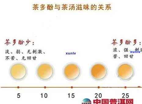 茶叶类黄酮含量排行榜：详细解析各类茶叶的含量差异