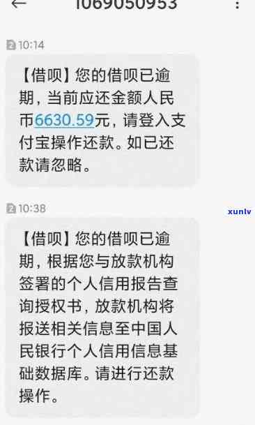 发逾期暂时没钱-发逾期两个月,请求全额,没能力还怎么办