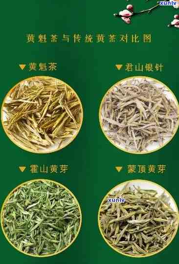 哪些茶属于淡茶：绿茶、黄茶、白茶、乌龙茶？