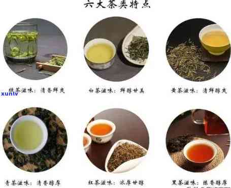 六大茶类哪些是淡茶-六大茶类哪些是淡茶的