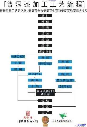 六大茶类的工艺流程-六大茶类的工艺流程图