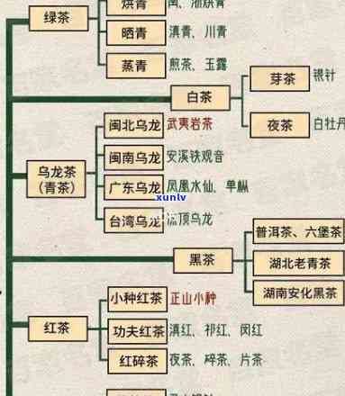 六大茶类齐全于明代吗？详解其历渊源与形成原因