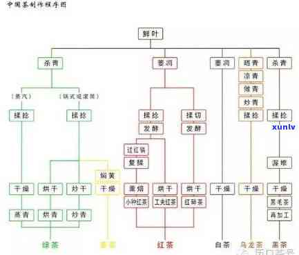 六大茶类齐全于明代吗？详解其历渊源与形成原因