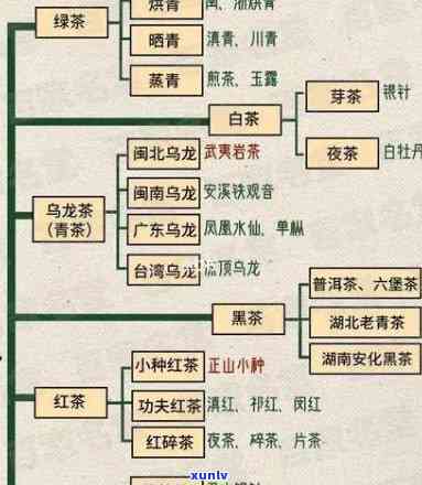 六大茶类齐全于明代对还是错？探究其来源与演变