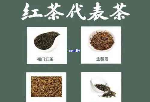 探究：六大茶类中更先生产的茶种及其是什么？