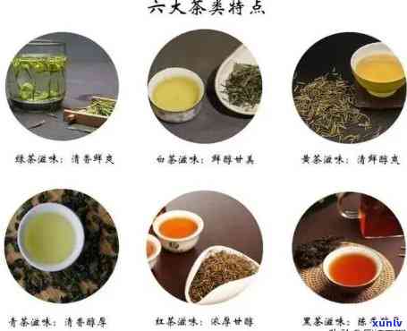 探究：六大茶类中更先生产的茶种及其是什么？