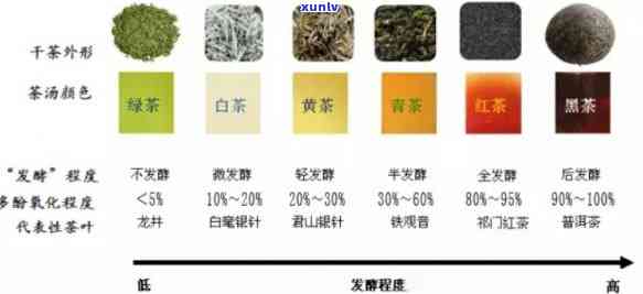 探究：六大茶类中更先生产的茶种是什么？