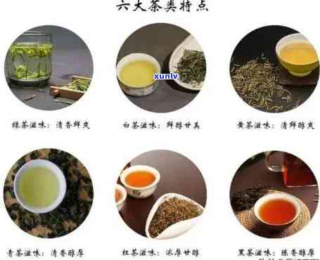 六大茶类之首，探秘茶叶世界：六大茶类之首的崇高地位与魅力