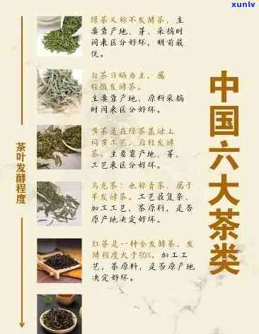 六大茶类之首，探秘茶叶世界：六大茶类之首的崇高地位与魅力