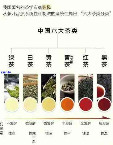 六大茶类之首，探秘茶叶世界：六大茶类之首的崇高地位与魅力