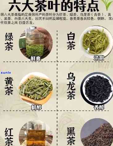 六大茶类是谁提出的名字，探秘茶文化：六大茶类的命名由来及其特点