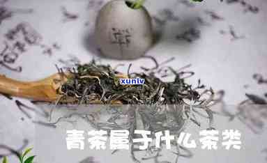 哪些茶属于青茶类的-哪些茶属于青茶类的茶