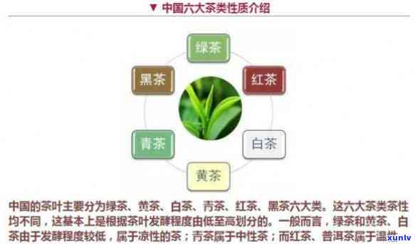 各个茶类的特点与功效解析