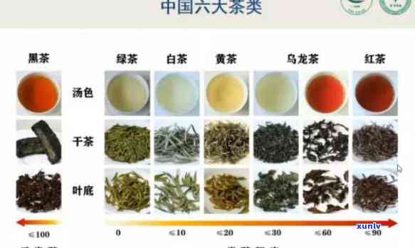 简述六大茶类的特点，探索六大茶类的独特特点：一次全面的品鉴之旅