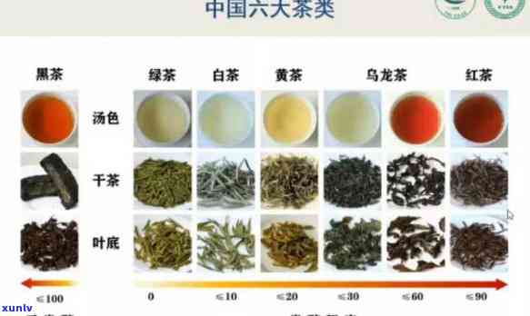 简述六大茶类的基本特点，详解六大茶类的基本特点与区别