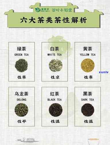 简述六大茶类的基本特点，详解六大茶类的基本特点与区别