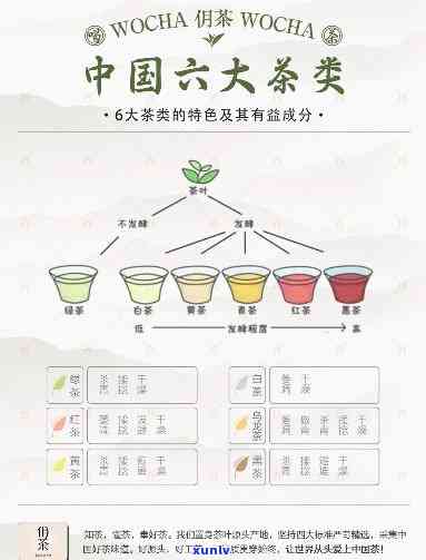 简述六大茶类的基本特点，详解六大茶类的基本特点与区别