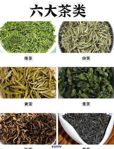 深入了解六大茶类的品质特点