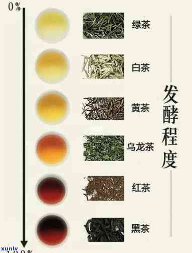 6大茶类的口感特点解析