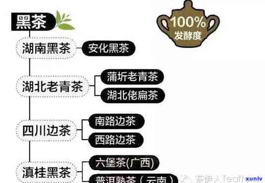 6大茶类的口感特点解析