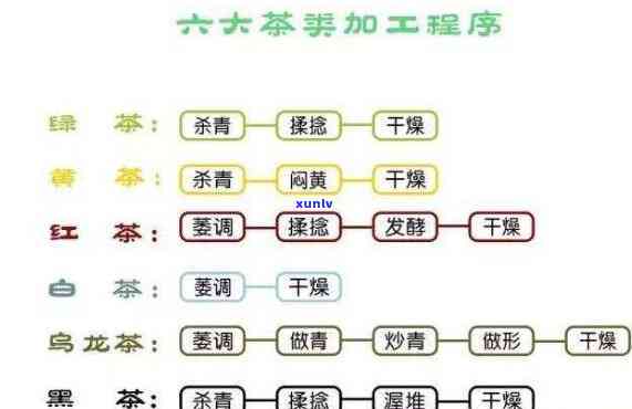 解析各大茶类的发酵程度及表格