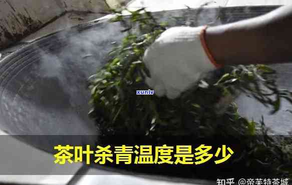 茶叶的杀青度多少，掌握茶叶品质的关键：了解杀青度的重要性