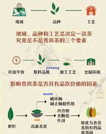 探究六大茶类基本制法：原理、 *** 与实践