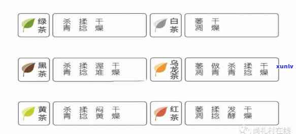 全面解析：茶的分类 *** 及种类图解