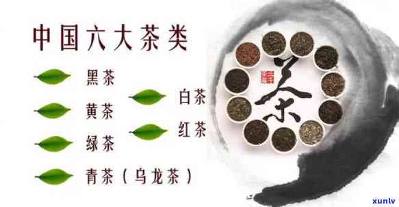 六大茶类的存 *** -六大茶类的存 *** 和条件