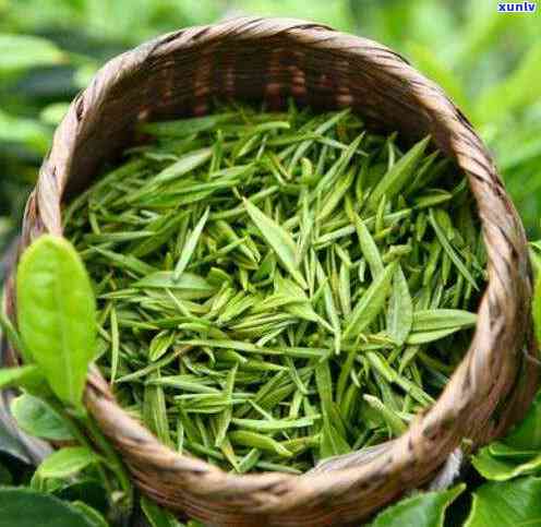 传统泡茶的步骤简便-传统泡茶的步骤简便介绍