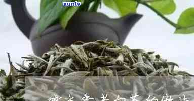 糯米香茶的 ***  *** 视频教程大全