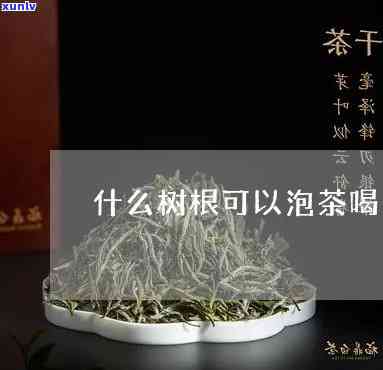 根茶的功效和泡法-根茶的功效和泡法视频