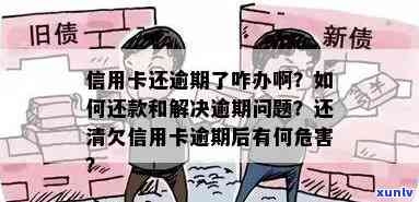 发银行逾期4个月,要一次性还清欠款吗，如何应对发银行逾期4个月的欠款问题？