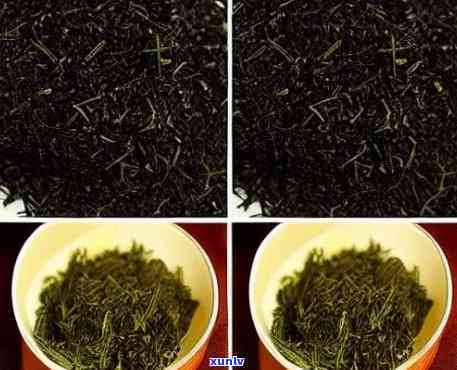 干松针茶的 ***  *** -干松针茶的 ***  *** 窍门