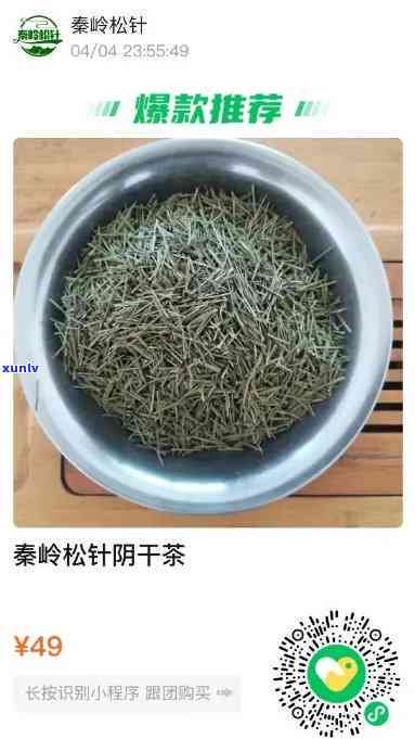 干松针茶的 ***  *** -干松针茶的 ***  *** 窍门