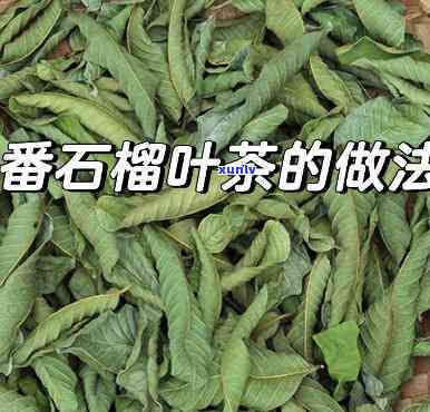 石榴叶茶的 ***  *** -石榴叶茶的 ***  *** 视频