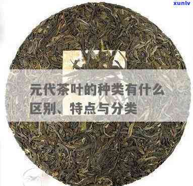 元代饮用茶叶主要是哪种茶？探究其茶类和茶种