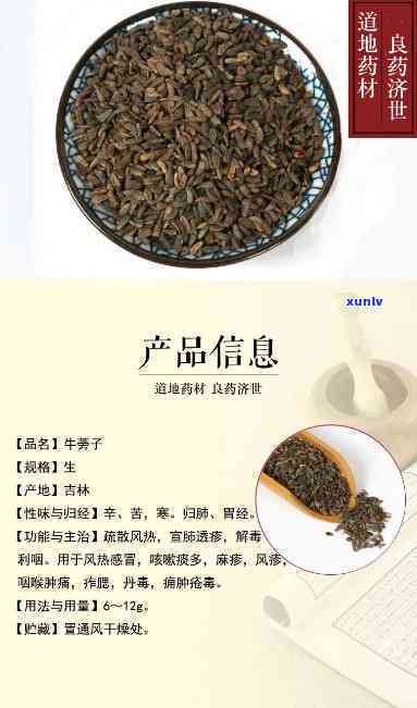 牛蒡子茶的服用 *** -牛蒡子茶的服用 *** 和用量